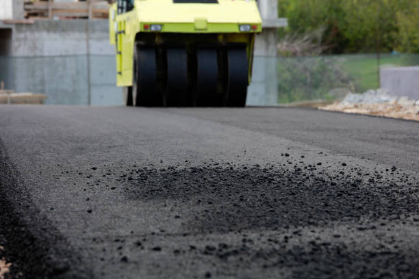 Best Driveway Repair Near Me  in Ely, NV