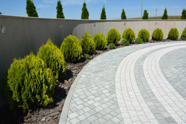 Best Professional Driveway Pavers  in Ely, NV